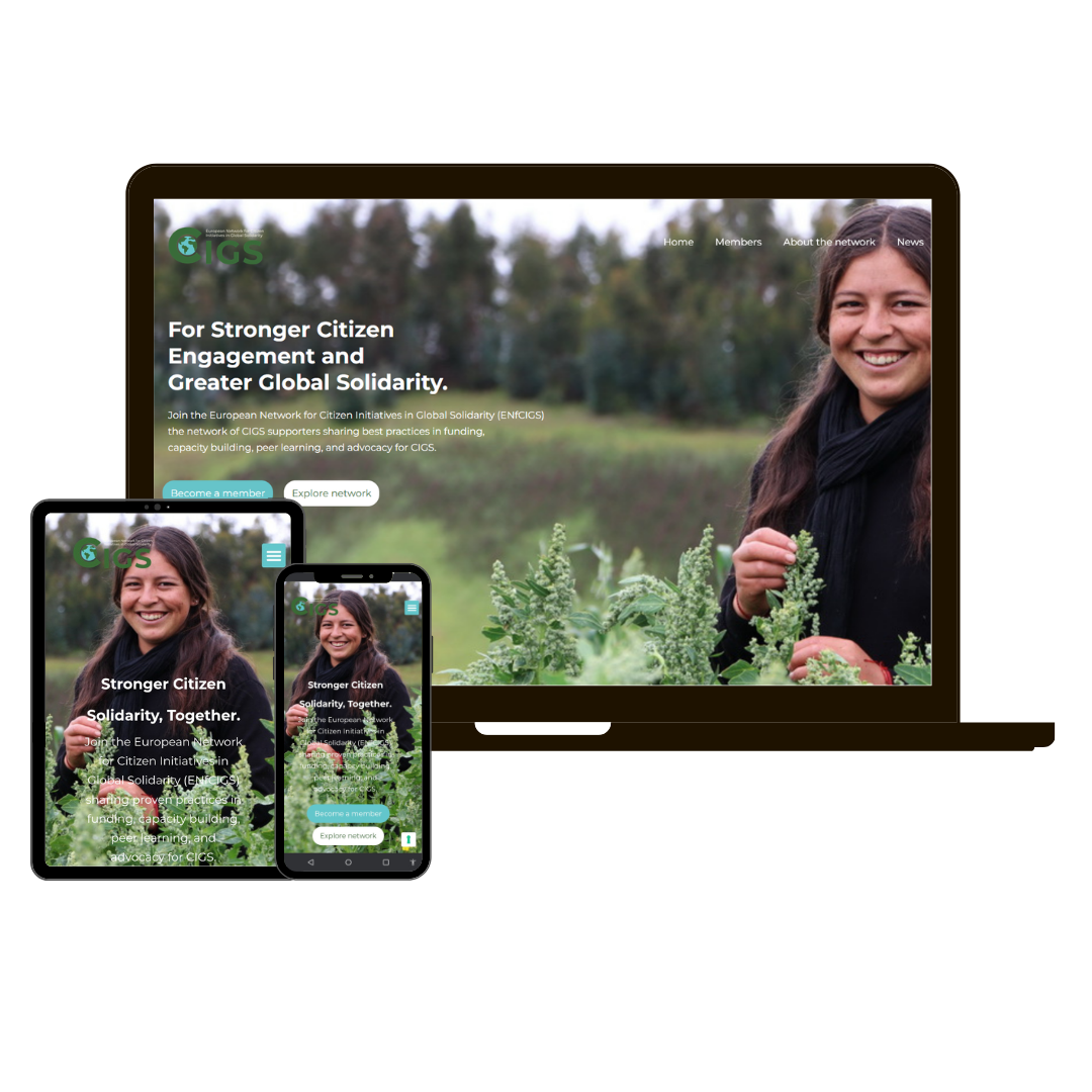 European Network for CIGS