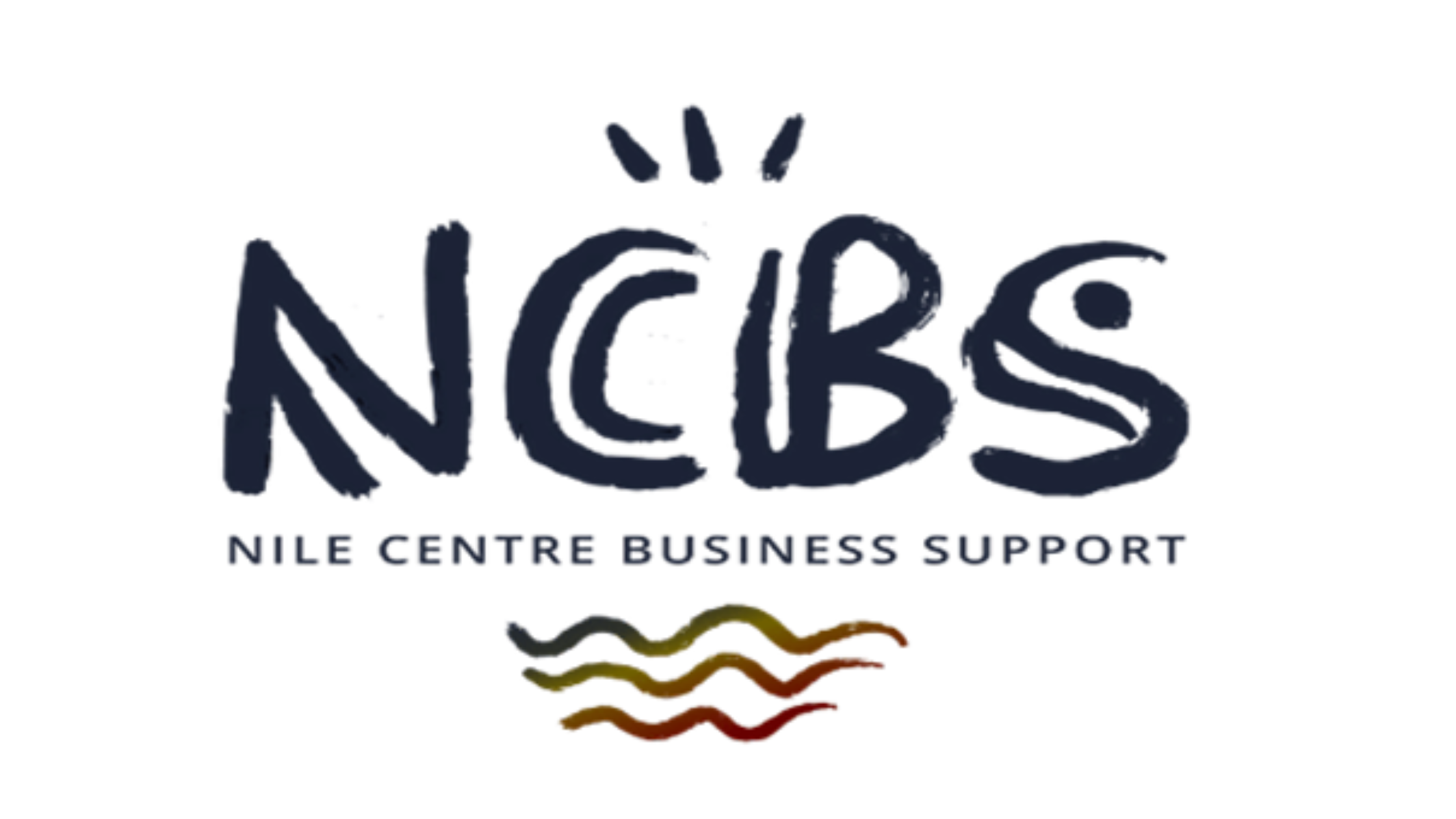 Samenwerking met NCBS: websites en social media voor stichtingen met impact in Oeganda